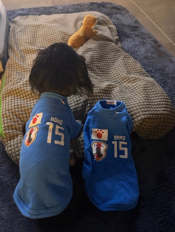 镰田大地89分钟绝平荷兰 双手指天纪念爱犬巴伦